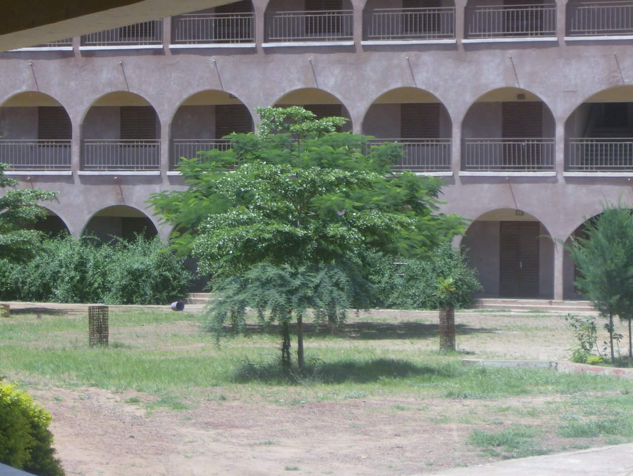 Colegio Baco-Djicoroni